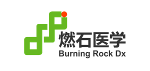 IPO Burning Rock Biotech